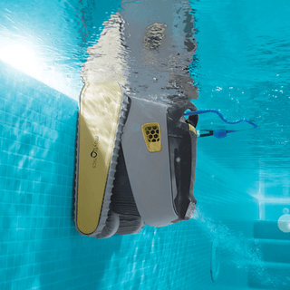 Maytronics Dolphin X30 Robotic Pool Cleaner waterline